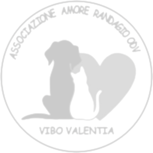 Immagine 8
